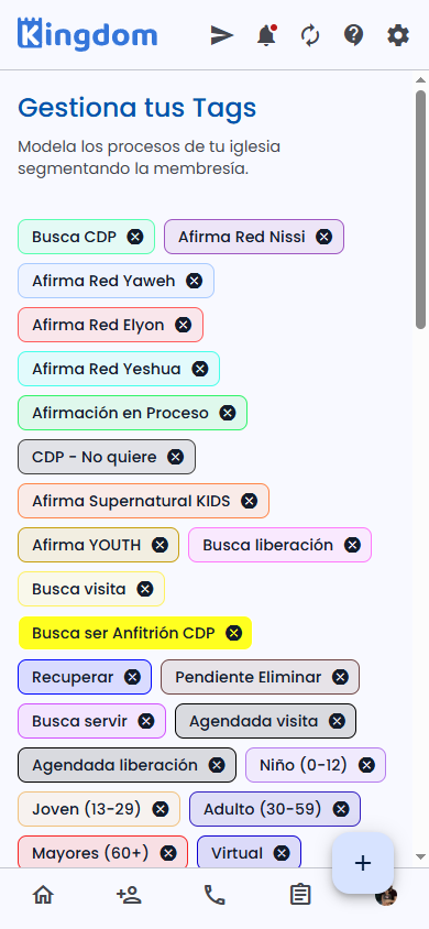 Gestión de Tags con chips de colores
